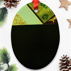 Colors And Fabrics 24 Ornament (Oval)