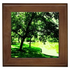 Lake Park 17 Framed Tiles by bestdesignintheworld