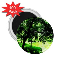 Lake Park 17 2 25  Magnets (100 Pack)  by bestdesignintheworld