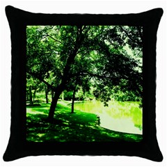 Lake Park 17 Throw Pillow Case (black) by bestdesignintheworld