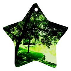 Lake Park 17 Star Ornament (two Sides) by bestdesignintheworld