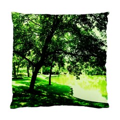 Lake Park 17 Standard Cushion Case (two Sides) by bestdesignintheworld