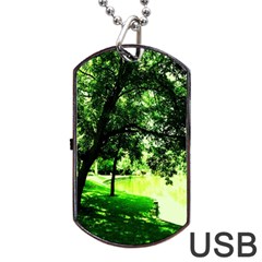 Lake Park 17 Dog Tag Usb Flash (one Side) by bestdesignintheworld