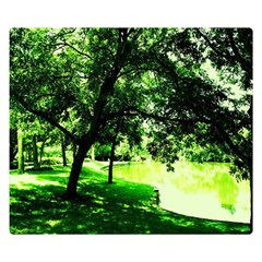 Lake Park 17 Double Sided Flano Blanket (small)  by bestdesignintheworld