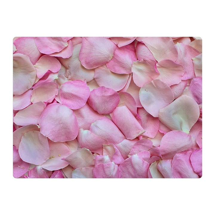 Romantic Pink Rose Petals Floral  Double Sided Flano Blanket (Mini) 