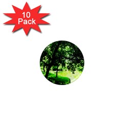 Lake Park 17 1  Mini Magnet (10 Pack)  by bestdesignintheworld