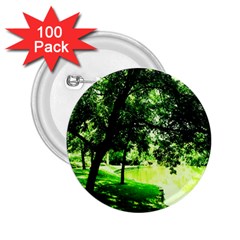 Lake Park 17 2 25  Buttons (100 Pack)  by bestdesignintheworld