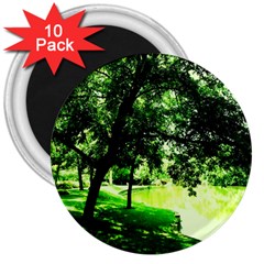 Lake Park 17 3  Magnets (10 Pack)  by bestdesignintheworld