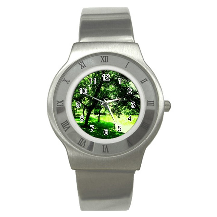 Lake Park 17 Stainless Steel Watch