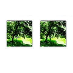 Lake Park 17 Cufflinks (square) by bestdesignintheworld