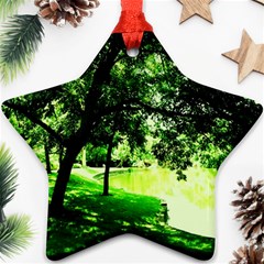 Lake Park 17 Star Ornament (two Sides) by bestdesignintheworld