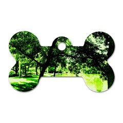 Lake Park 17 Dog Tag Bone (two Sides) by bestdesignintheworld