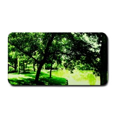 Lake Park 17 Medium Bar Mats by bestdesignintheworld