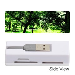 Lake Park 17 Memory Card Reader (stick)  by bestdesignintheworld