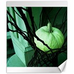 Pumpkin 7 Canvas 20  x 24   19.57 x23.15  Canvas - 1