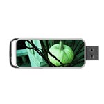 Pumpkin 7 Portable USB Flash (Two Sides) Front