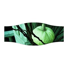 Pumpkin 7 Stretchable Headband