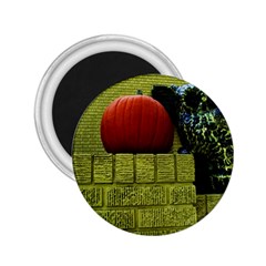 Pumpkins 10 2 25  Magnets by bestdesignintheworld