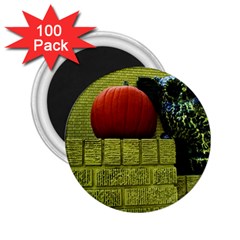 Pumpkins 10 2 25  Magnets (100 Pack)  by bestdesignintheworld