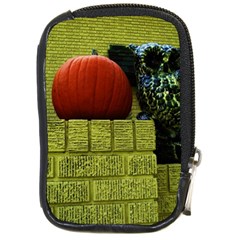 Pumpkins 10 Compact Camera Cases by bestdesignintheworld