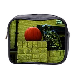 Pumpkins 10 Mini Toiletries Bag 2-side by bestdesignintheworld