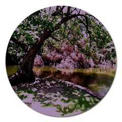 Old Tree 6 Magnet 5  (round) by bestdesignintheworld