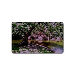 Old Tree 6 Magnet (name Card) by bestdesignintheworld