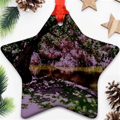 Old Tree 6 Star Ornament (two Sides) by bestdesignintheworld