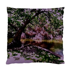 Old Tree 6 Standard Cushion Case (one Side) by bestdesignintheworld