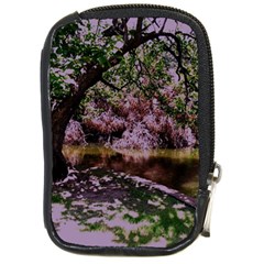 Old Tree 6 Compact Camera Cases by bestdesignintheworld