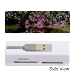 Old Tree 6 Memory Card Reader (stick)  by bestdesignintheworld