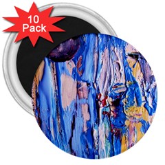 Point Of View 3/1 3  Magnets (10 Pack)  by bestdesignintheworld