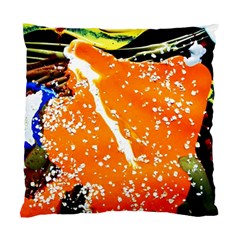 Smashed Butterfly 6 Standard Cushion Case (two Sides) by bestdesignintheworld