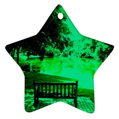 Lake Park 20 Star Ornament (Two Sides)