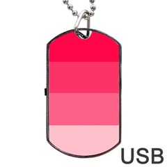 Pink Scarlet Gradient Stripes Pattern Dog Tag Usb Flash (two Sides) by yoursparklingshop