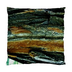 Tree In Highland Park Standard Cushion Case (two Sides) by bestdesignintheworld