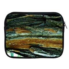 Tree In Highland Park Apple Ipad 2/3/4 Zipper Cases