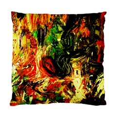 Sunset In A Desert Of Mexico Standard Cushion Case (one Side) by bestdesignintheworld