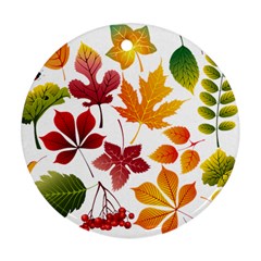 Beautiful Autumn Leaves Vector Ornament (round) by Nexatart