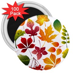 Beautiful Autumn Leaves Vector 3  Magnets (100 Pack) by Nexatart