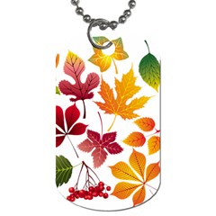 Beautiful Autumn Leaves Vector Dog Tag (one Side) by Nexatart