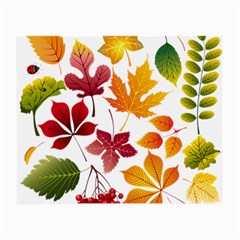 Beautiful Autumn Leaves Vector Small Glasses Cloth by Nexatart