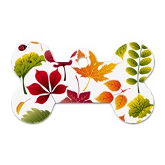 Beautiful Autumn Leaves Vector Dog Tag Bone (one Side) by Nexatart