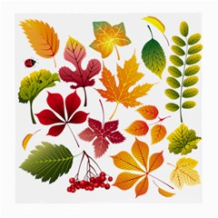 Beautiful Autumn Leaves Vector Medium Glasses Cloth by Nexatart