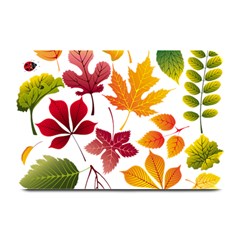 Beautiful Autumn Leaves Vector Plate Mats