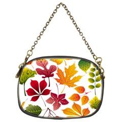 Beautiful Autumn Leaves Vector Chain Purses (two Sides)  by Nexatart