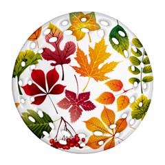 Beautiful Autumn Leaves Vector Ornament (round Filigree)