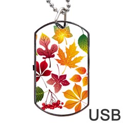 Beautiful Autumn Leaves Vector Dog Tag Usb Flash (one Side) by Nexatart