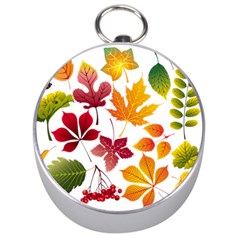 Beautiful Autumn Leaves Vector Silver Compasses by Nexatart