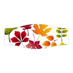 Beautiful Autumn Leaves Vector Stretchable Headband by Nexatart